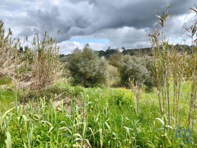 Terreno para Venda em Outeiro da Cortiçada e Arruda dos Pisões Foto 8
