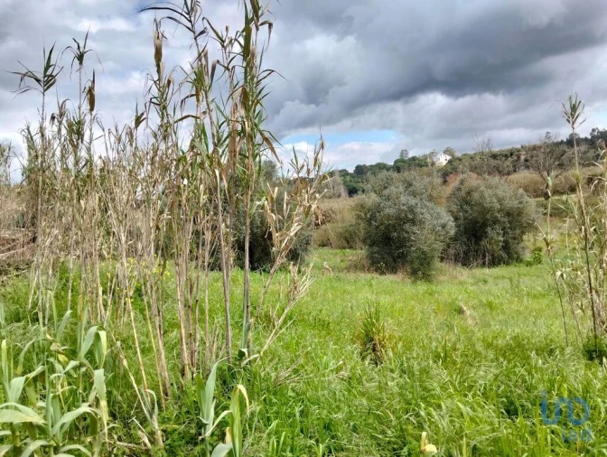 Terreno para Venda em Outeiro da Cortiçada e Arruda dos Pisões Foto 14