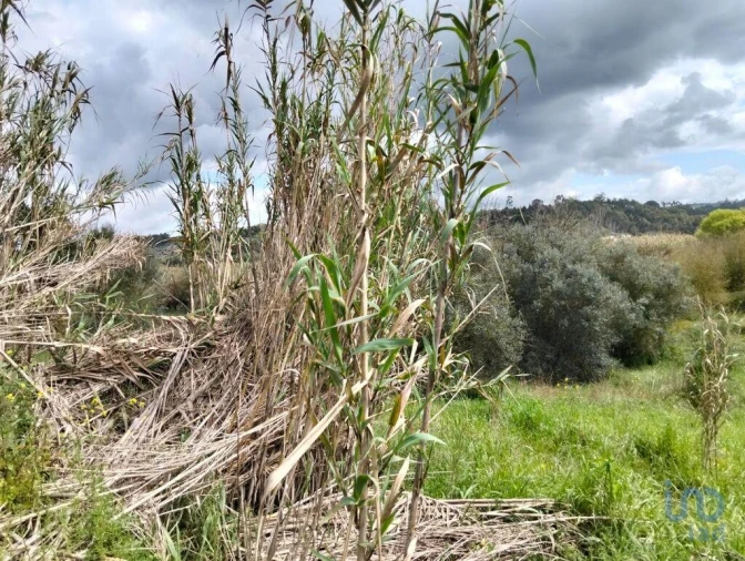 Terreno para Venda em Outeiro da Cortiçada e Arruda dos Pisões Foto 3