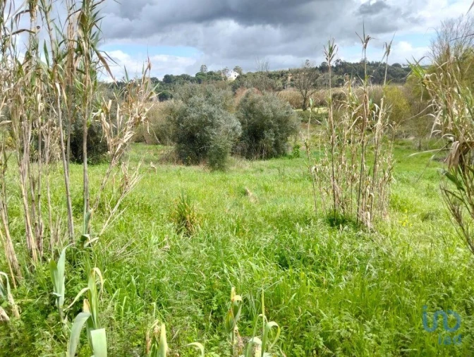 Terreno para Venda em Outeiro da Cortiçada e Arruda dos Pisões Foto 2