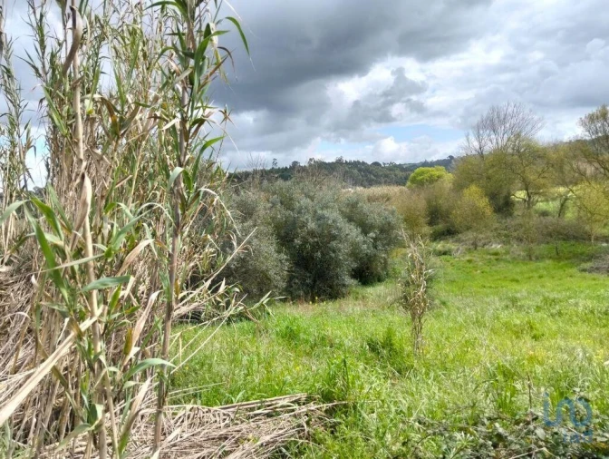 Terreno para Venda em Outeiro da Cortiçada e Arruda dos Pisões Foto 6