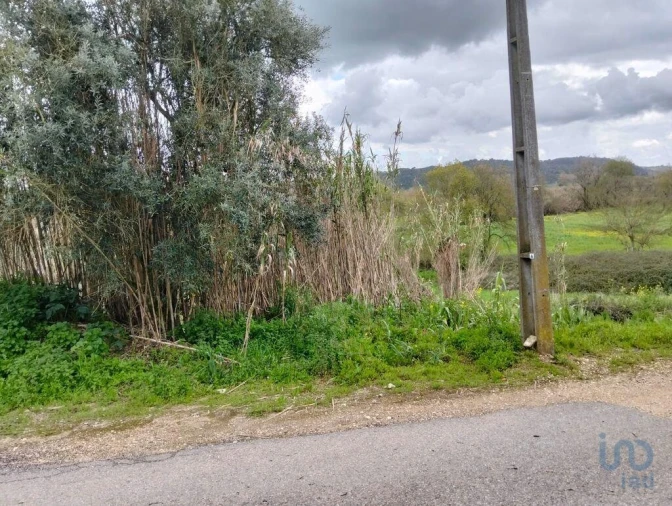 Terreno para Venda em Outeiro da Cortiçada e Arruda dos Pisões Foto 10