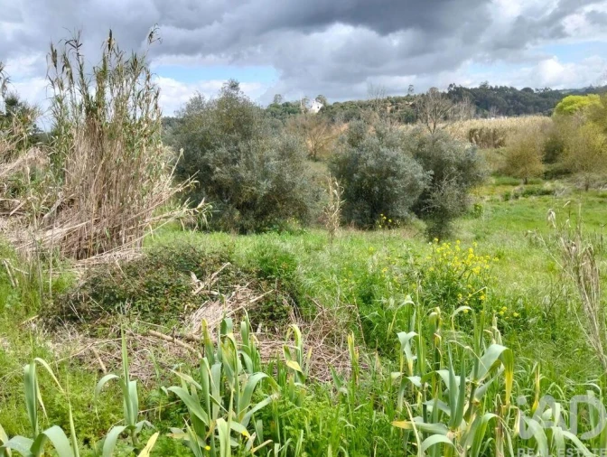 Terreno para Venda em Outeiro da Cortiçada e Arruda dos Pisões Foto 20