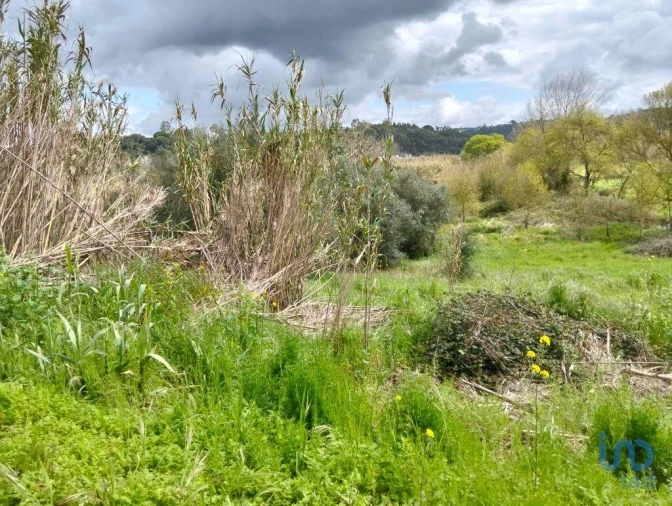 Terreno para Venda em Outeiro da Cortiçada e Arruda dos Pisões Foto 7
