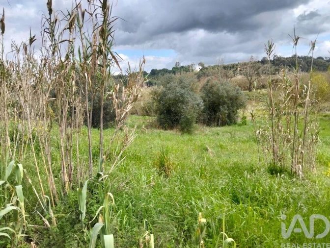 Terreno para Venda em Outeiro da Cortiçada e Arruda dos Pisões Foto 19
