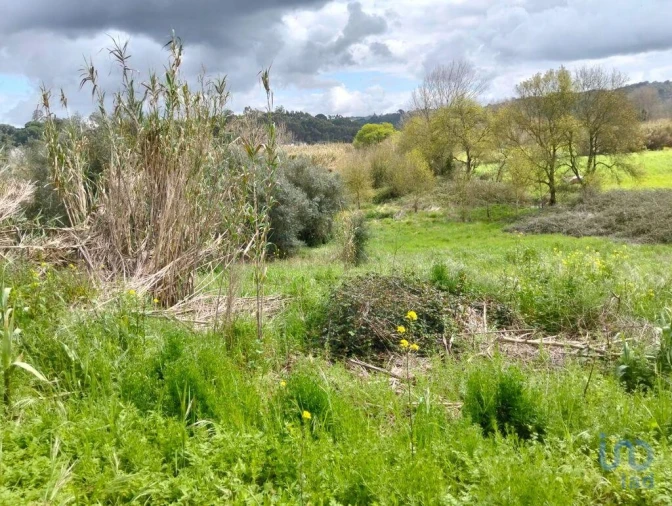 Terreno para Venda em Outeiro da Cortiçada e Arruda dos Pisões Foto 1