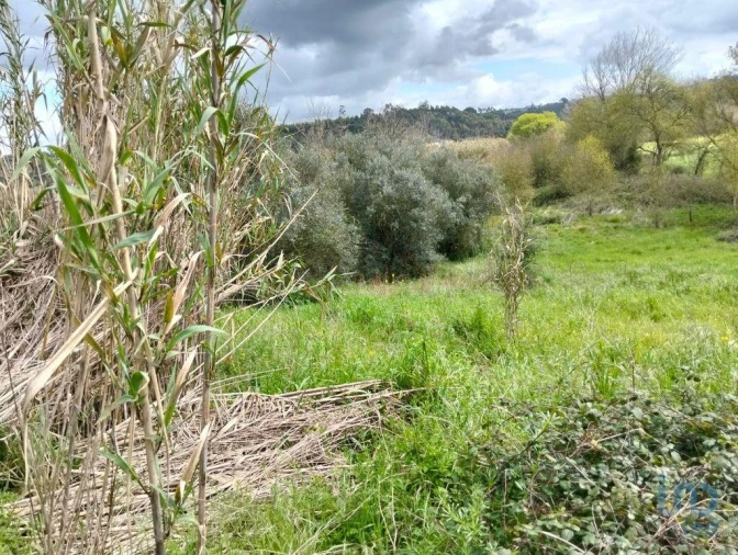 Terreno para Venda em Outeiro da Cortiçada e Arruda dos Pisões Foto 11