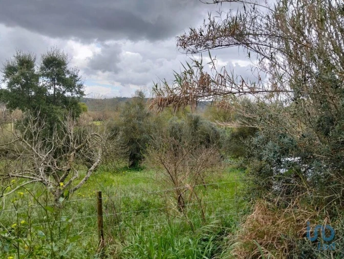 Terreno para Venda em Outeiro da Cortiçada e Arruda dos Pisões Foto 13