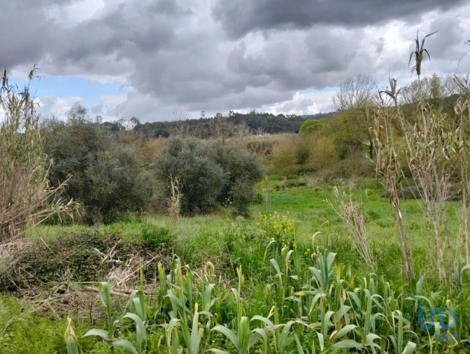 Terreno para Venda em Outeiro da Cortiçada e Arruda dos Pisões Foto 5