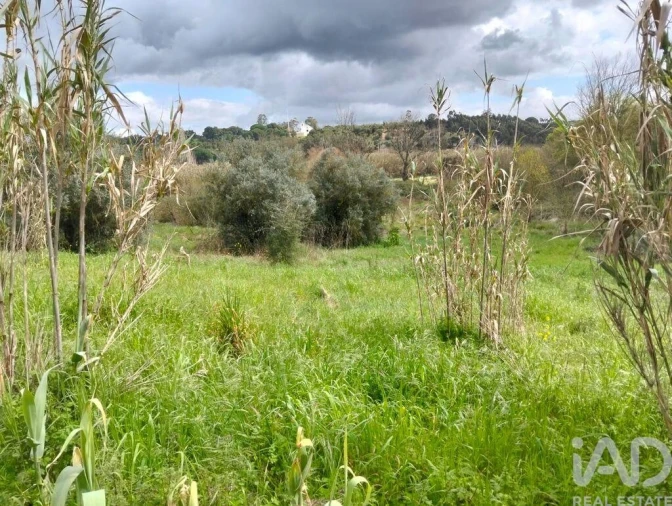 Terreno para Venda em Outeiro da Cortiçada e Arruda dos Pisões Foto 22