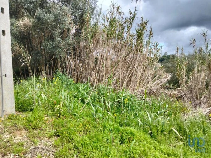 Terreno para Venda em Outeiro da Cortiçada e Arruda dos Pisões Foto 9