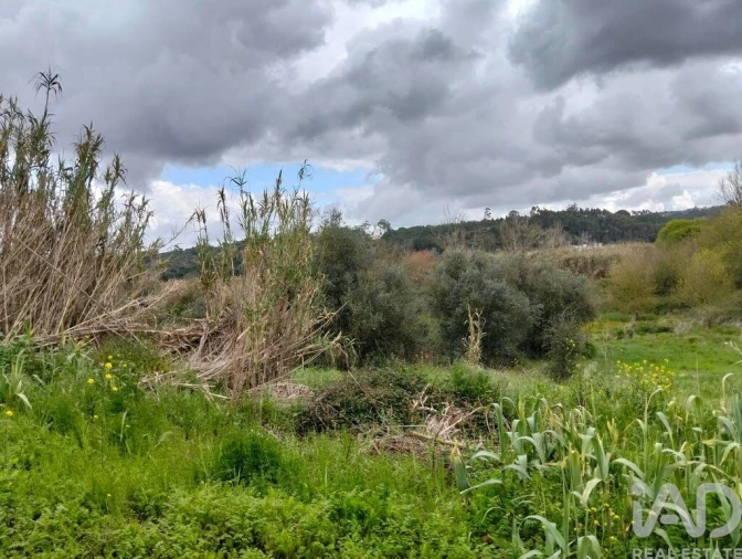 Terreno para Venda em Outeiro da Cortiçada e Arruda dos Pisões Foto 16
