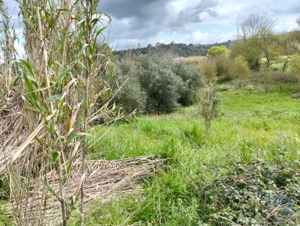 Terreno para Venda em Outeiro da Cortiçada e Arruda dos Pisões Foto 11