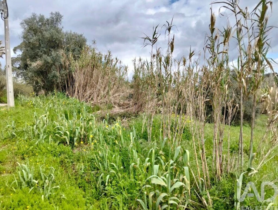 Terreno para Venda em Outeiro da Cortiçada e Arruda dos Pisões Foto 18