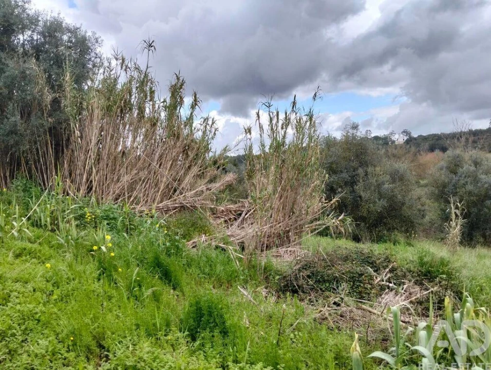 Terreno para Venda em Outeiro da Cortiçada e Arruda dos Pisões Foto 15