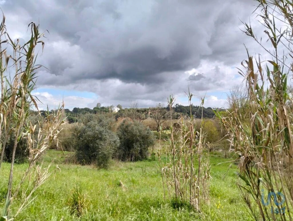 Terreno para Venda em Outeiro da Cortiçada e Arruda dos Pisões Foto 12