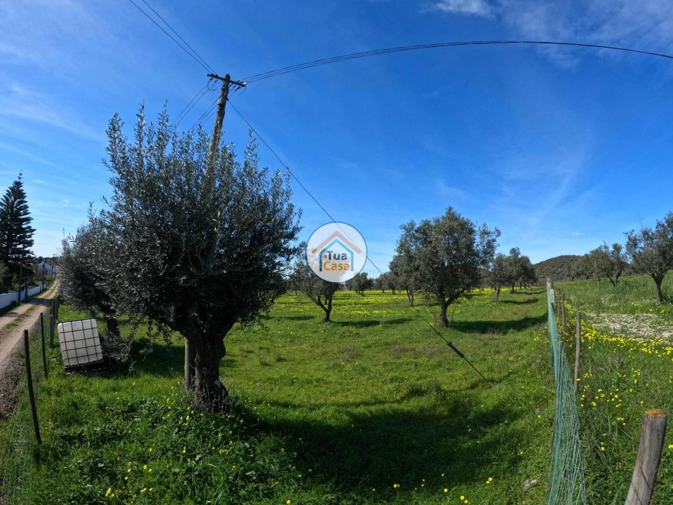 Terreno para Venda em Santiago do Escoural Foto 11