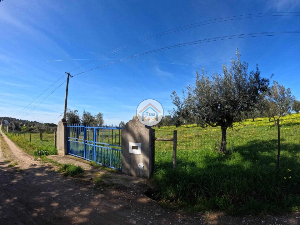 Terreno para Venda em Santiago do Escoural Foto 7