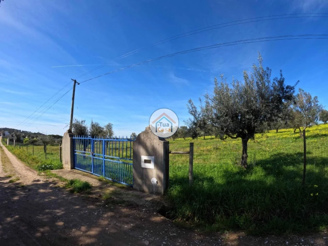 Terreno para Venda em Santiago do Escoural Foto 7