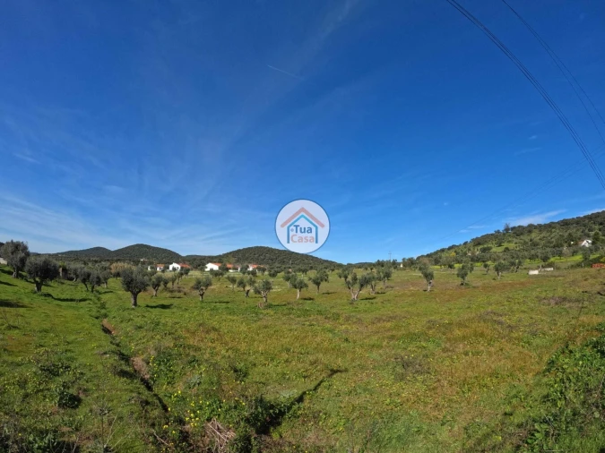 Terreno para Venda em Santiago do Escoural Foto 1