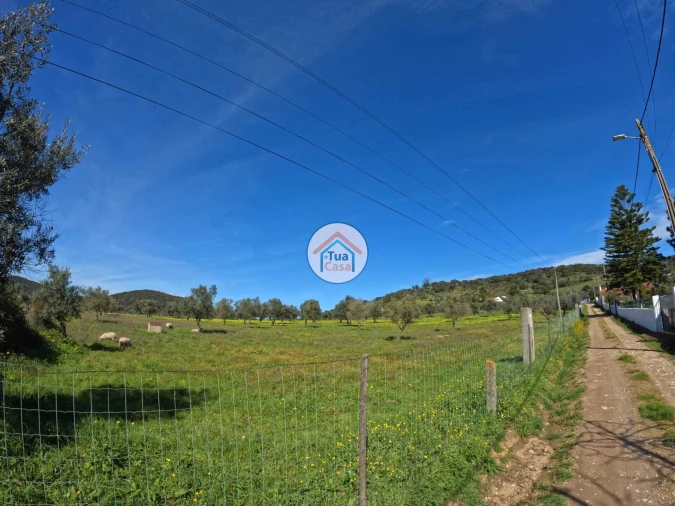 Terreno para Venda em Santiago do Escoural Foto 4