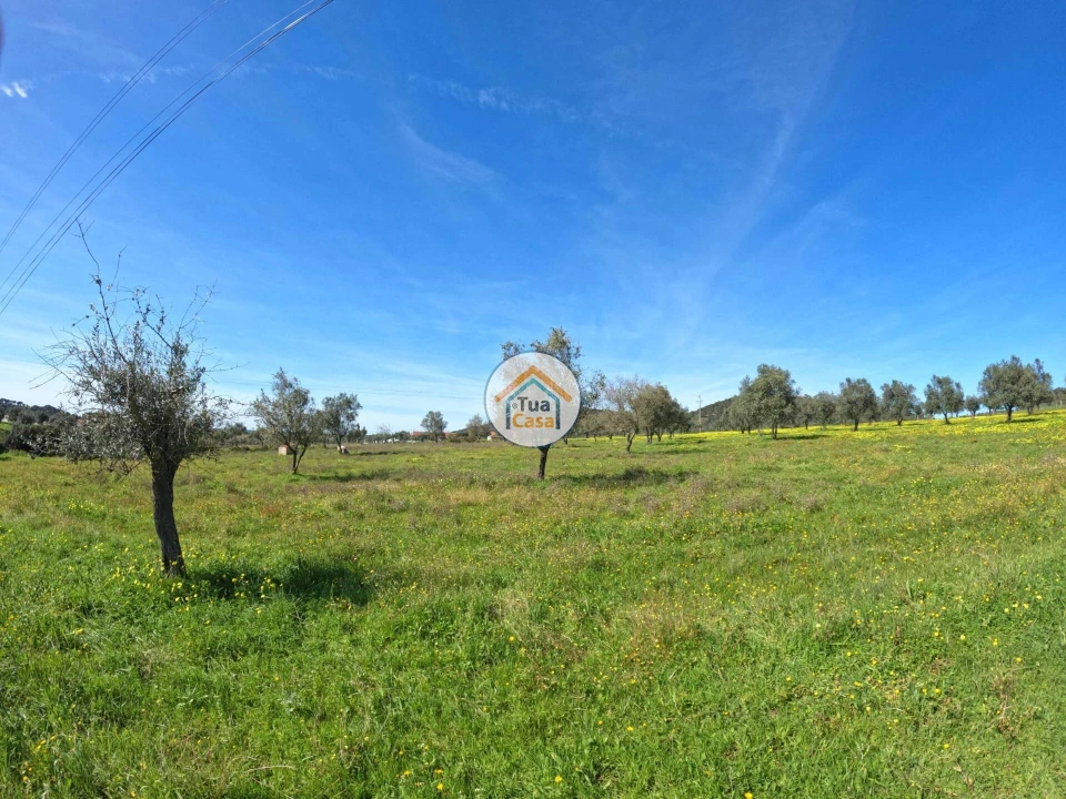 Terreno para Venda em Santiago do Escoural Foto 2