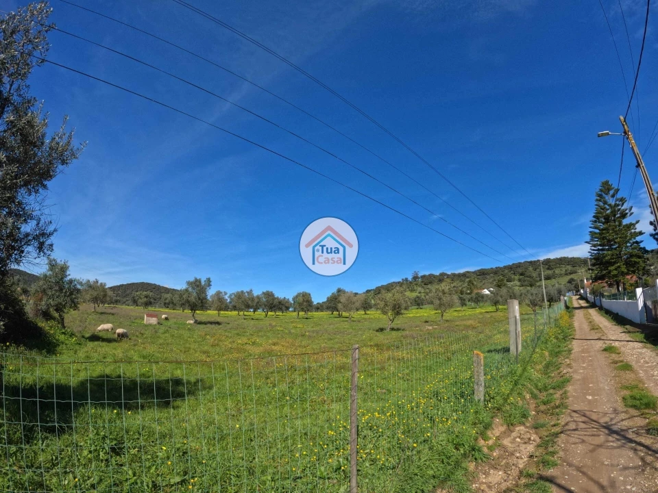 Terreno para Venda em Santiago do Escoural Foto 4