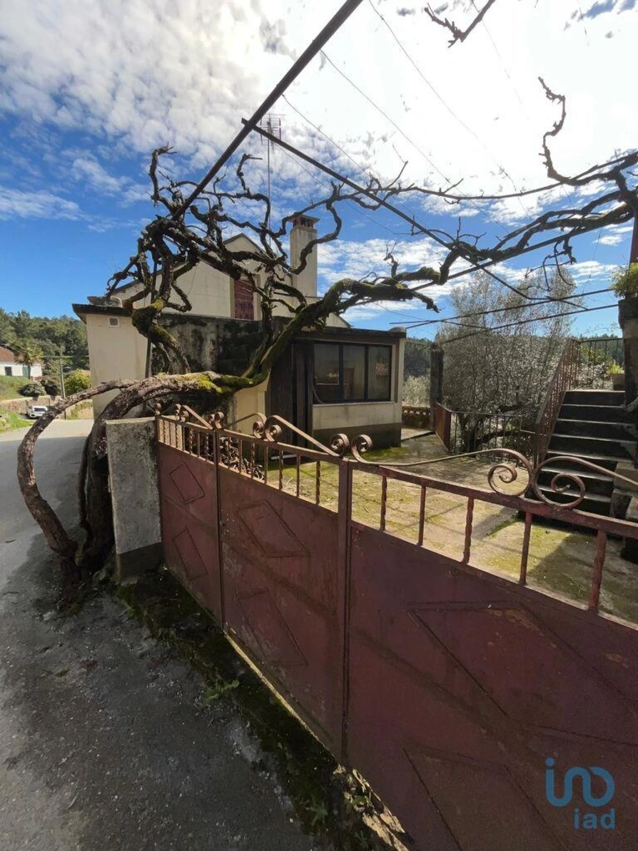 Moradia T3 para Venda em Sobreira Formosa e Alvito da Beira Foto 5
