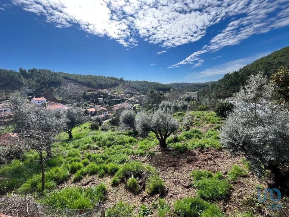 Moradia T3 para Venda em Sobreira Formosa e Alvito da Beira Foto 3