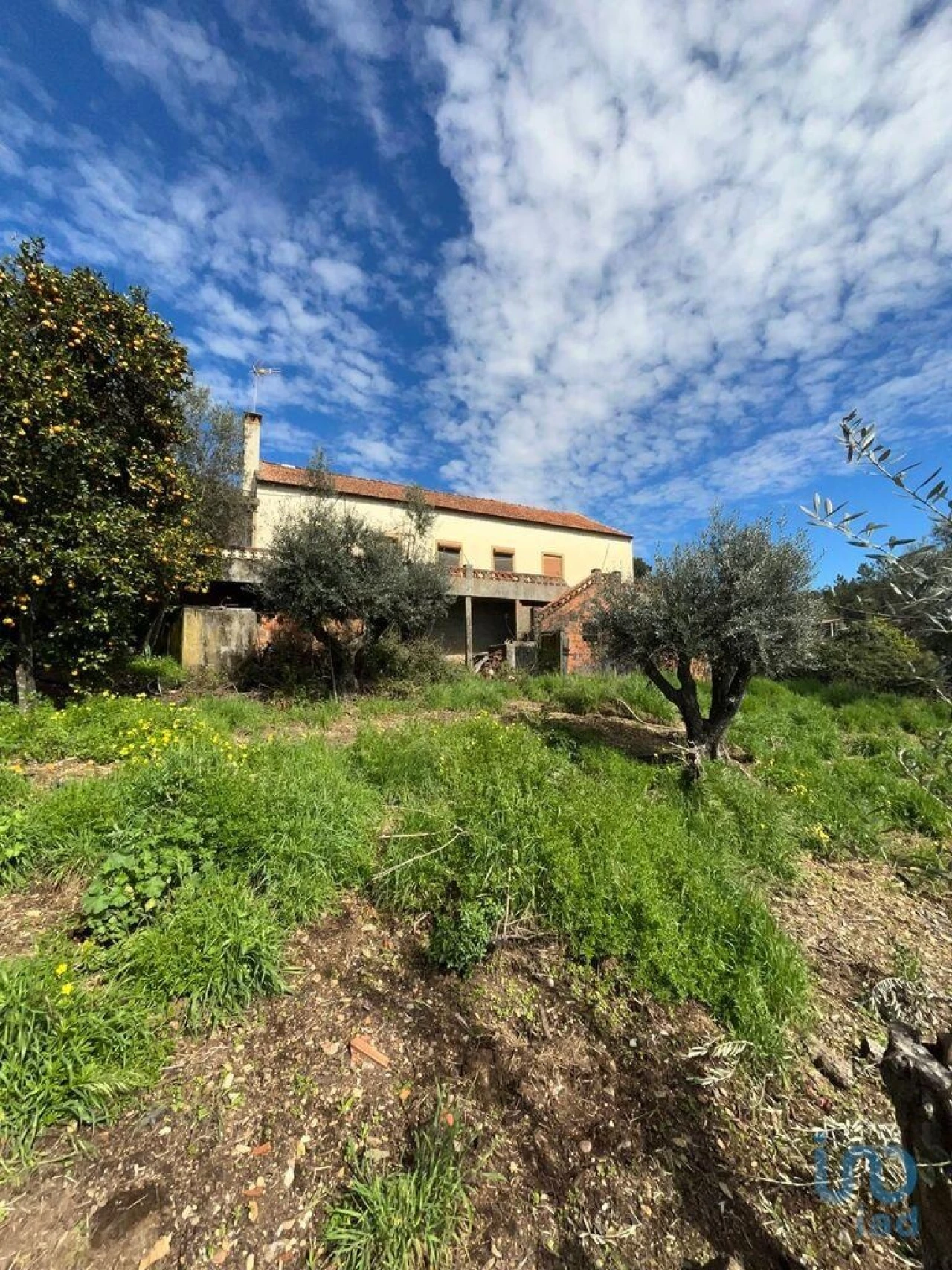 Moradia T3 para Venda em Sobreira Formosa e Alvito da Beira Foto 6