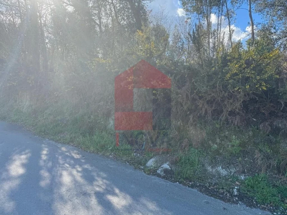 Terreno para Venda em Coucieiro Foto 14