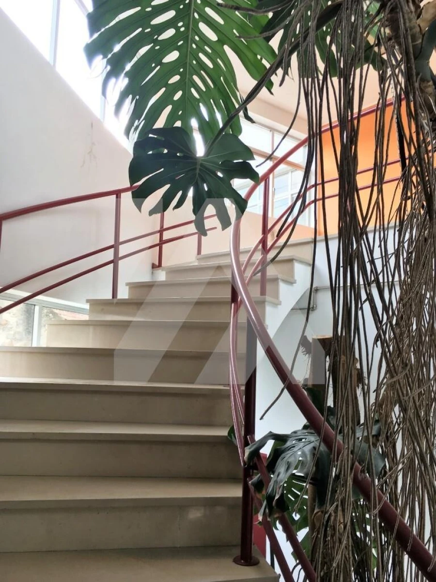 Armazém para Venda em Vila de Cucujães Foto 12