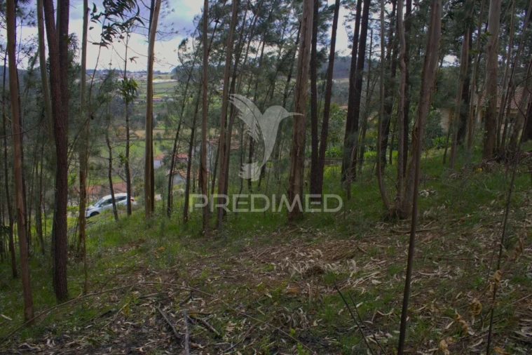 Terreno para Venda em Telões Foto 4