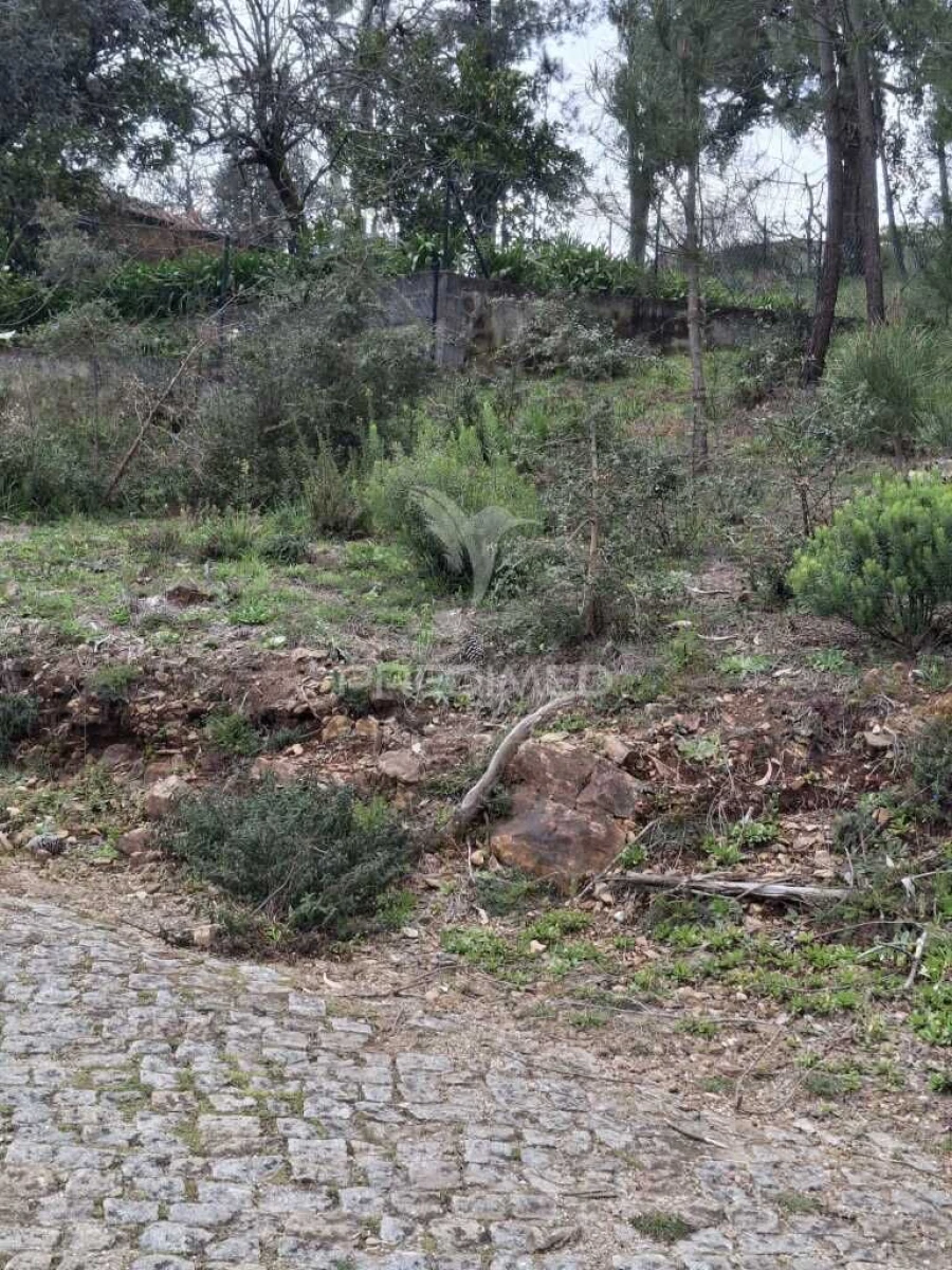 Terreno para Venda em Telões Foto 2