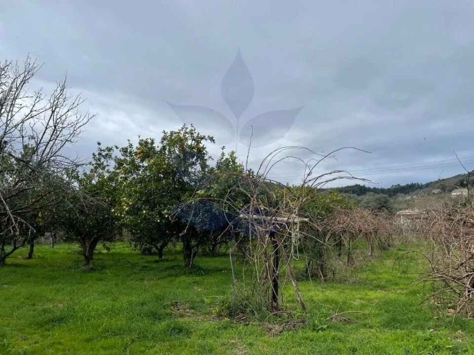 Quinta T5 para Venda em Valdreu Foto 8