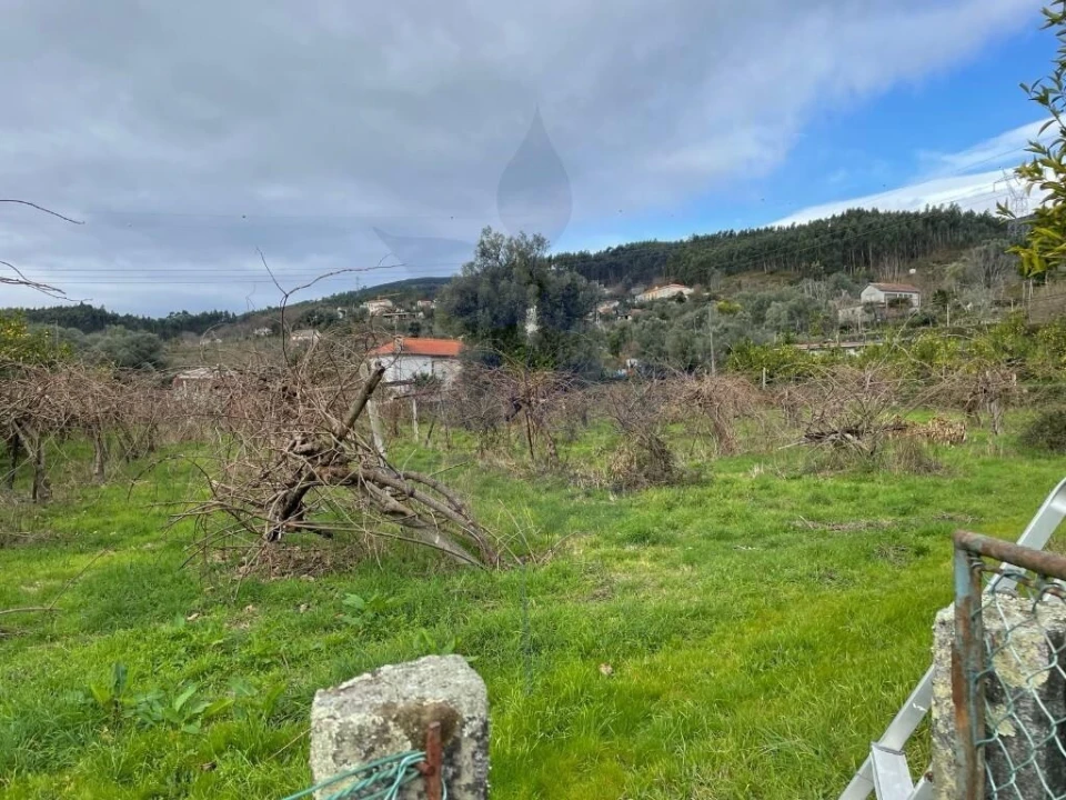 Quinta T5 para Venda em Valdreu Foto 11