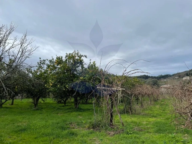 Quinta T5 para Venda em Valdreu Foto 8