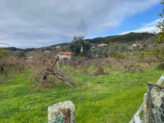 Quinta T5 para Venda em Valdreu Foto 11