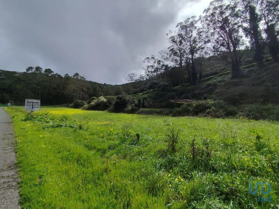 Terreno para Venda em Cadaval e Pêro Moniz Foto 8