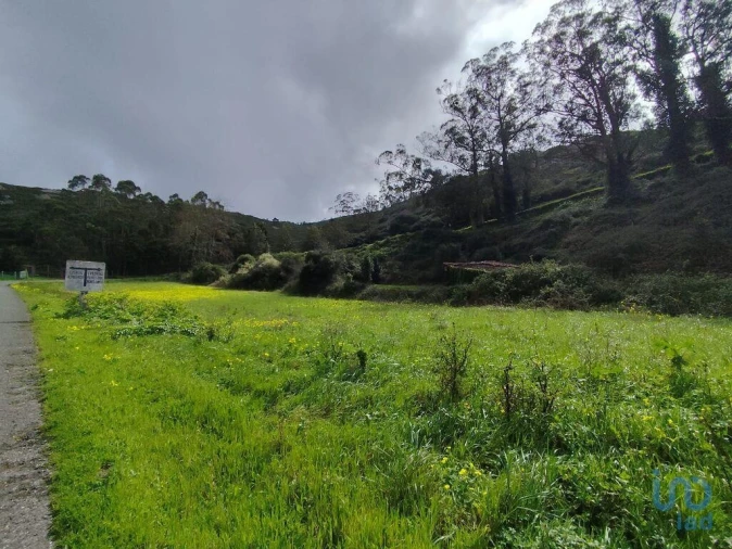 Terreno para Venda em Cadaval e Pêro Moniz Foto 8