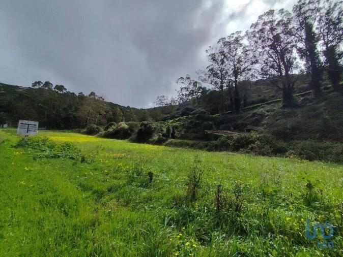 Terreno para Venda em Cadaval e Pêro Moniz Foto 6