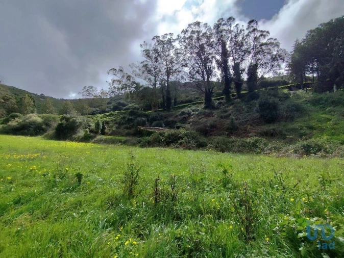 Terreno para Venda em Cadaval e Pêro Moniz Foto 11