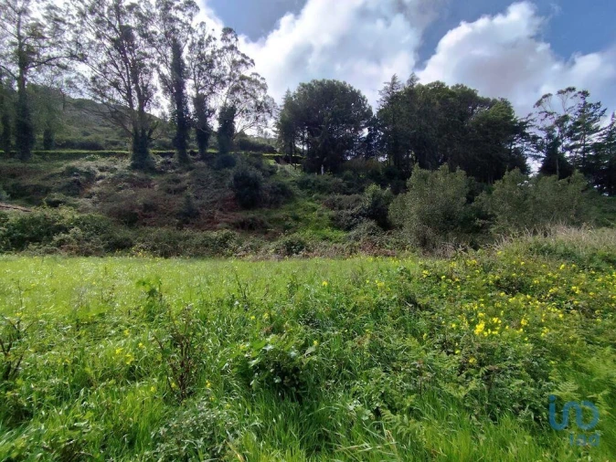Terreno para Venda em Cadaval e Pêro Moniz Foto 7