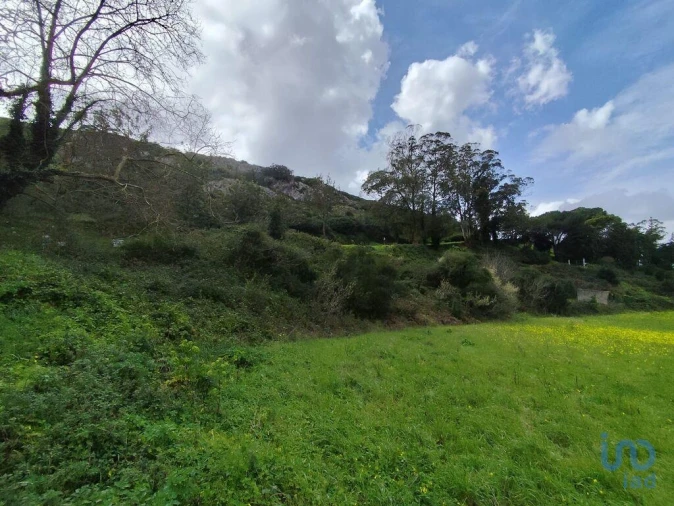 Terreno para Venda em Cadaval e Pêro Moniz Foto 2