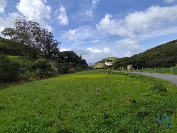Terreno para Venda em Cadaval e Pêro Moniz Foto 10