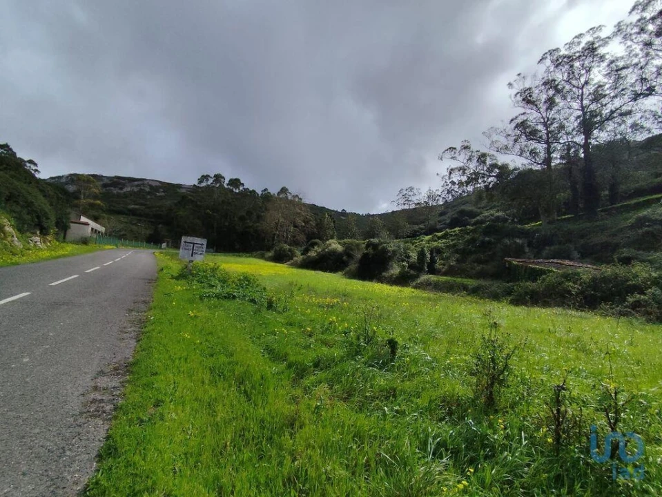 Terreno para Venda em Cadaval e Pêro Moniz Foto 9