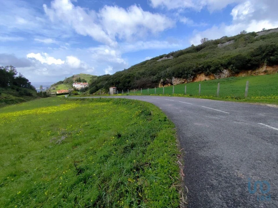 Terreno para Venda em Cadaval e Pêro Moniz Foto 4