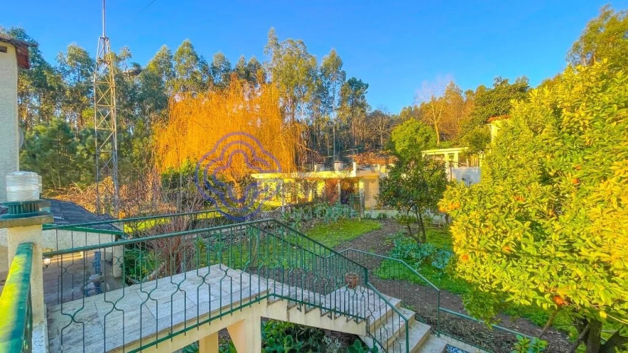 Quinta T5 para Venda em Romariz Foto 51