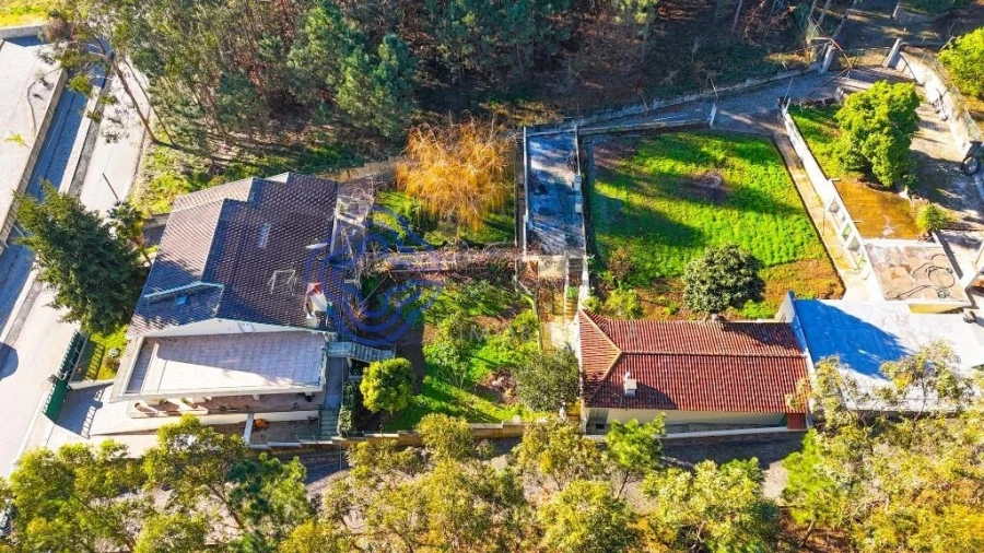 Quinta T5 para Venda em Romariz Foto 58