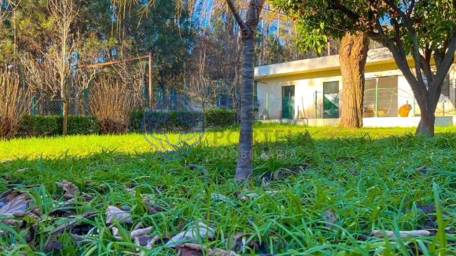 Quinta T5 para Venda em Romariz Foto 55